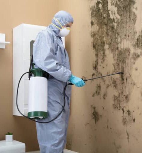 Portrait of a Worker Spraying Pesticide