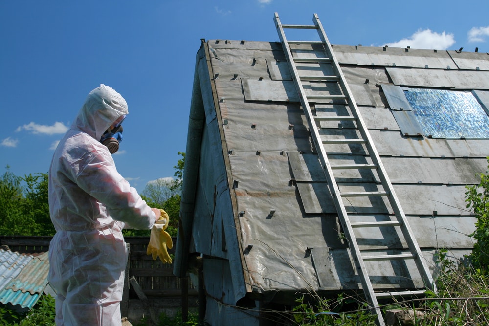 Photo of a Asbestos Removal Specialist