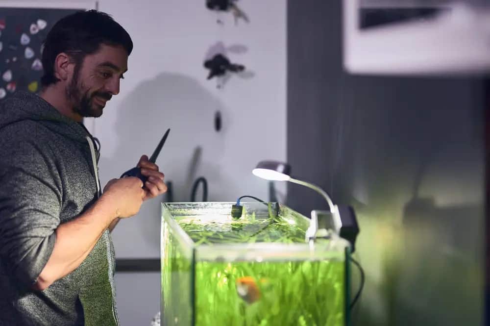 Photo of a Aquarium Installation and Maintenance Specialist