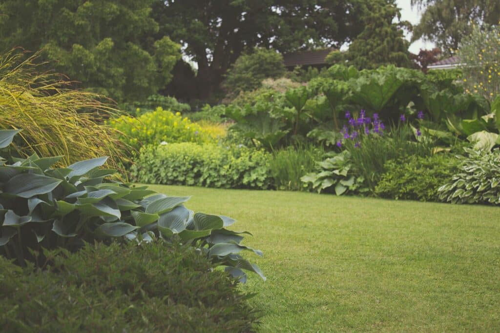 Photo of a Artificial Grass Installer