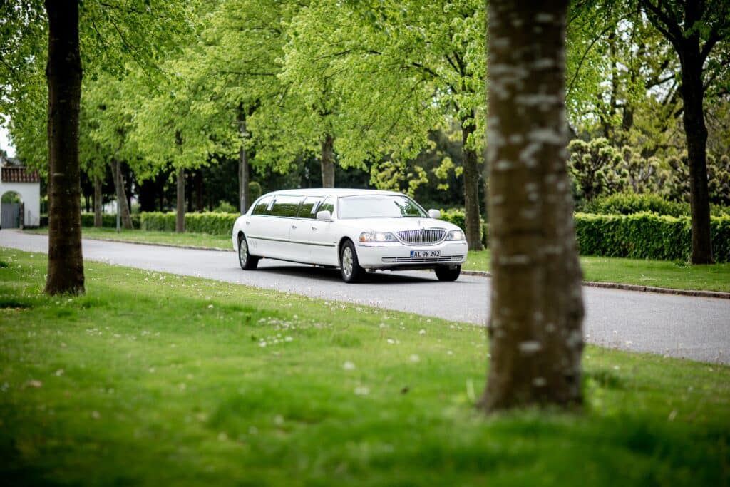 Limousine rentals