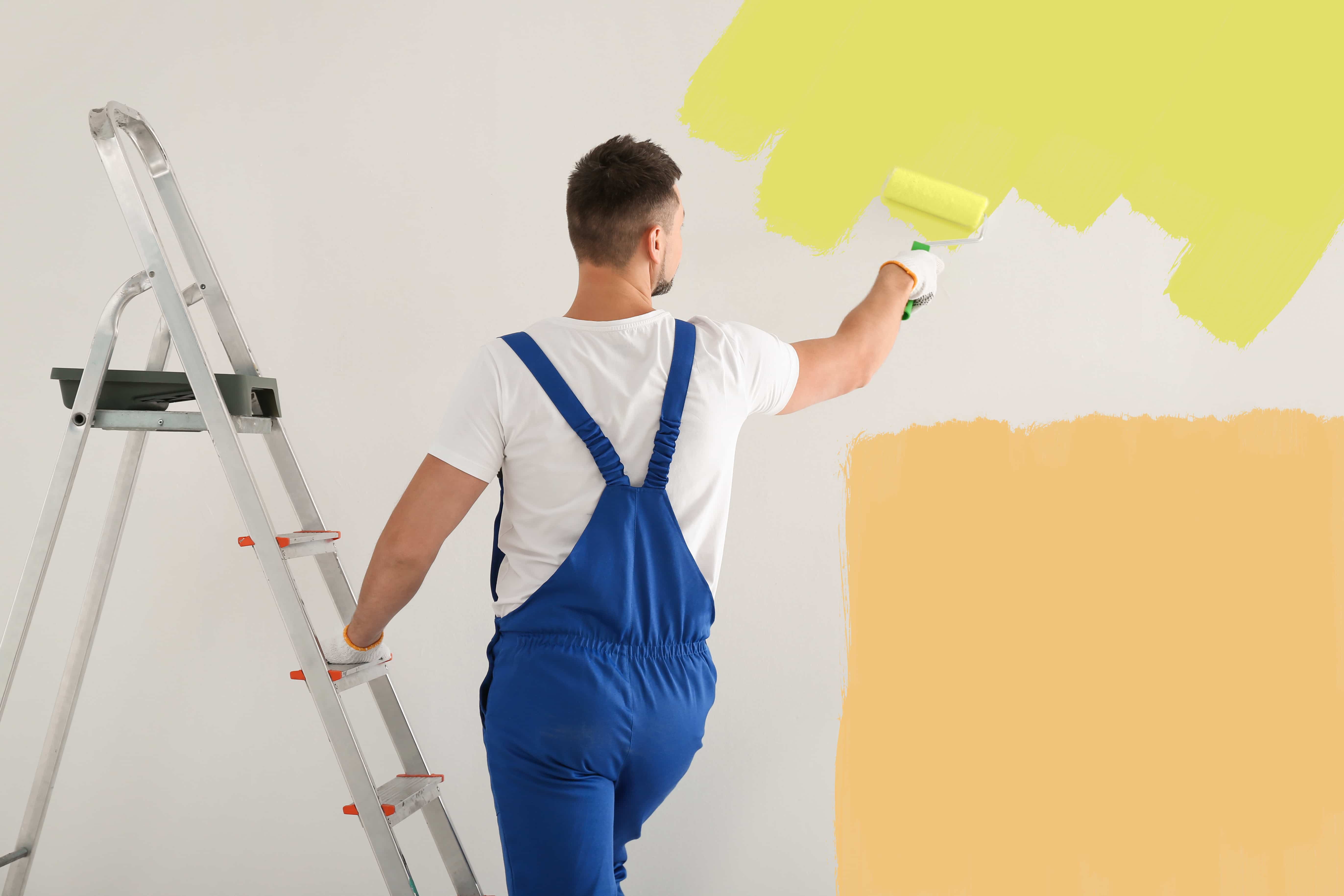 Man painting wall with white dye indoors, back view