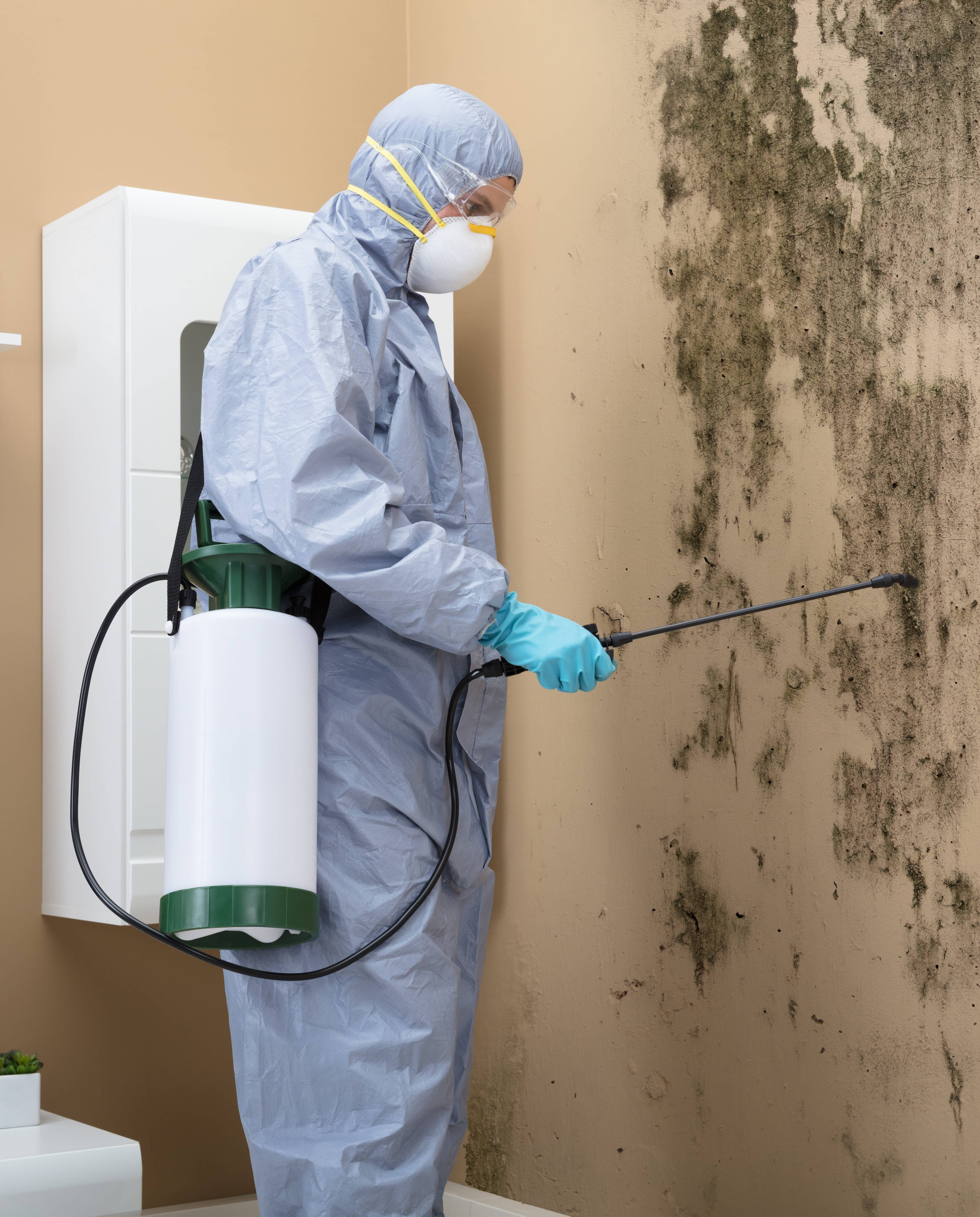 Portrait of a Worker Spraying Pesticide