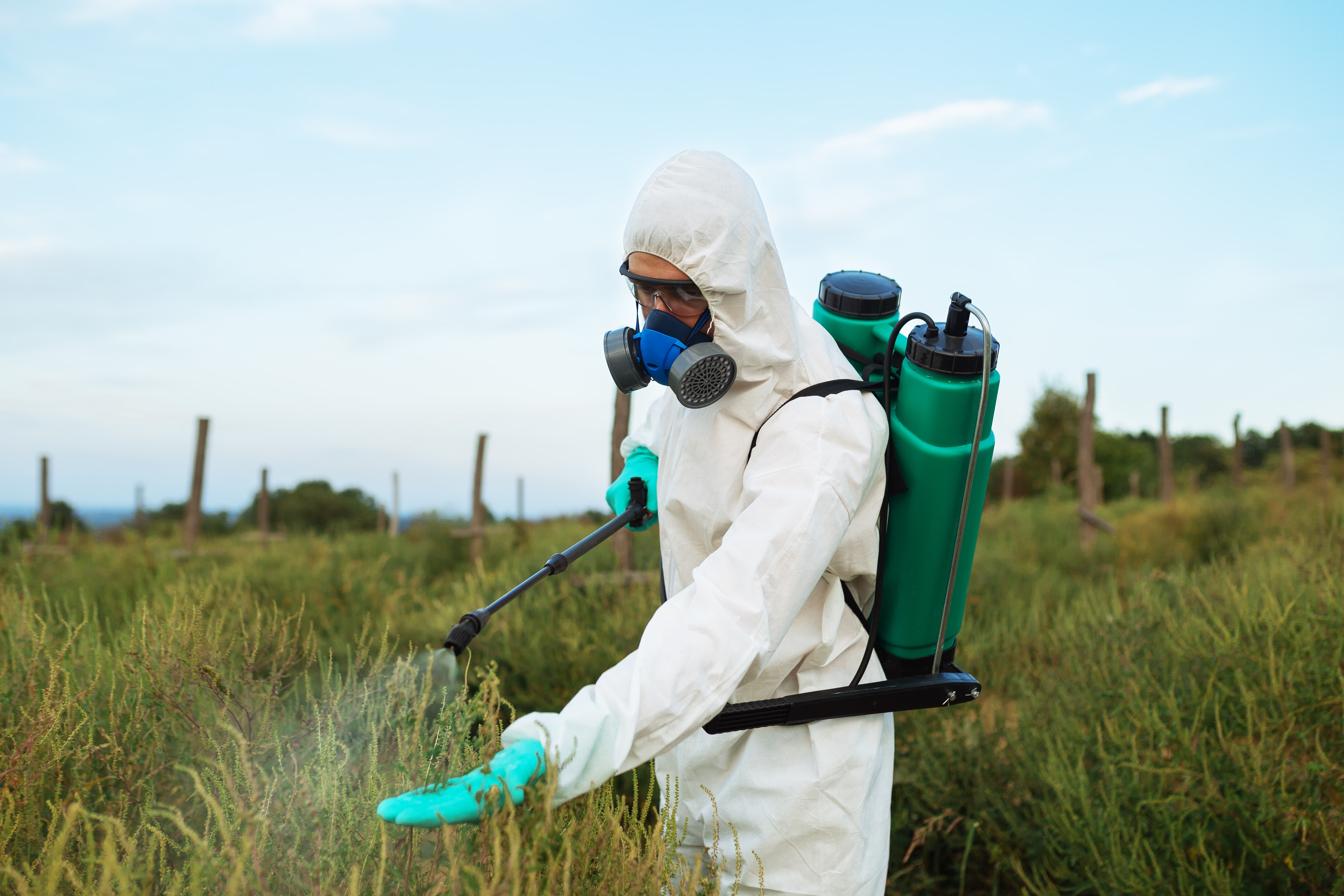 Agriculture pest control - Worker in protective workwear in weed control