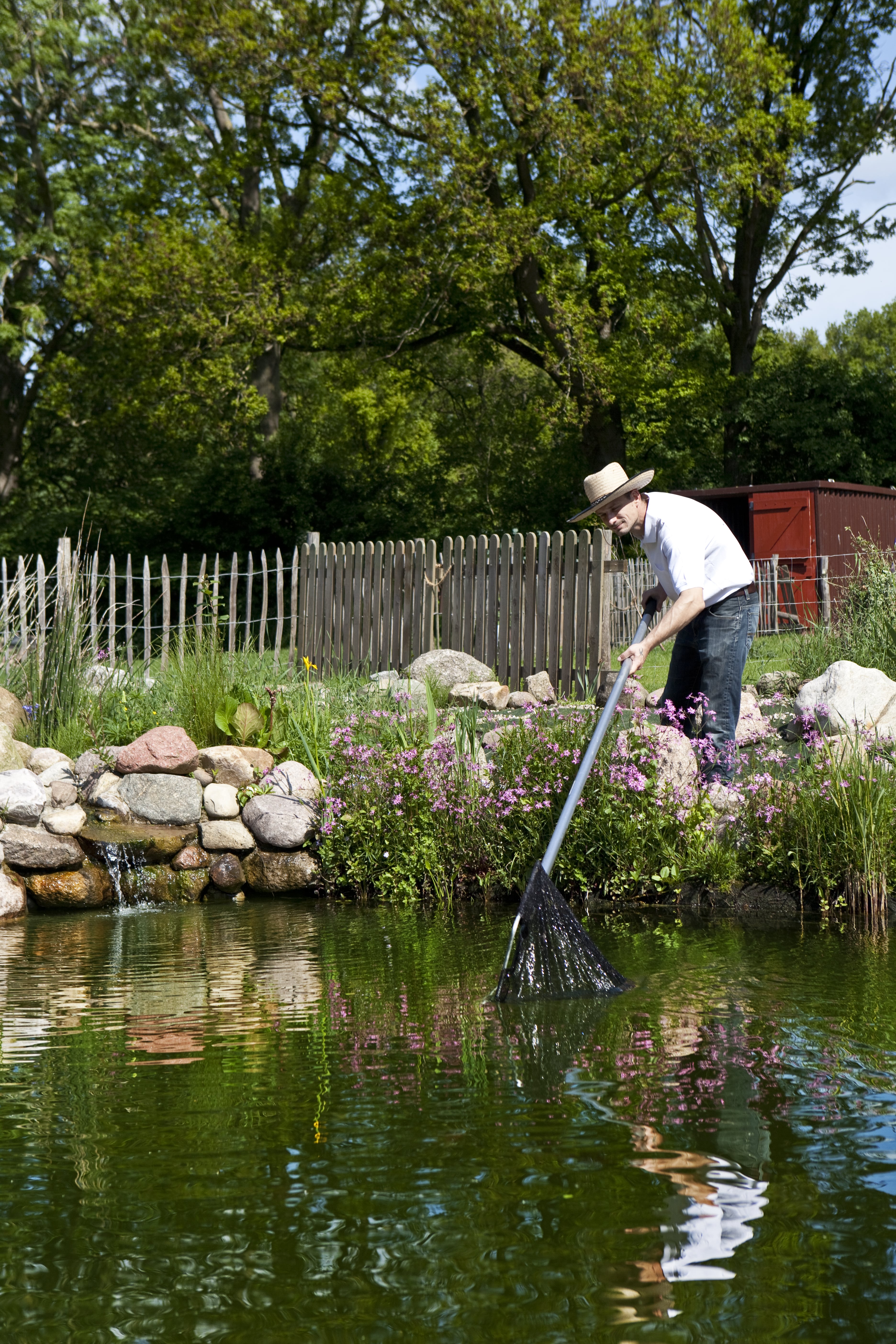 Portrait of a man in garden pond with a landing net, a stone waterfall and pasture fences in the background doing some Pond Installation and Maintenance