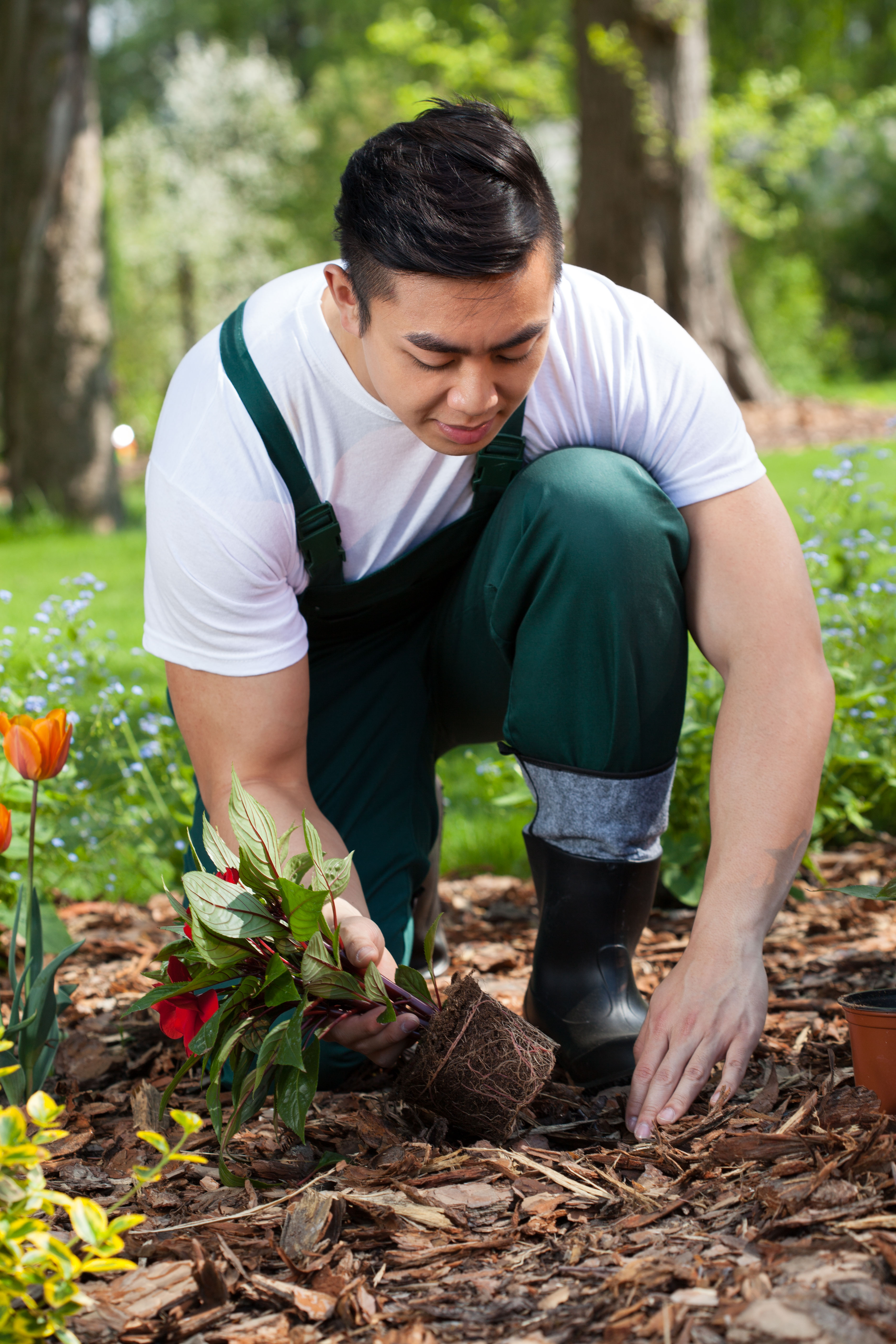 Portrait of young gardener planting flowers