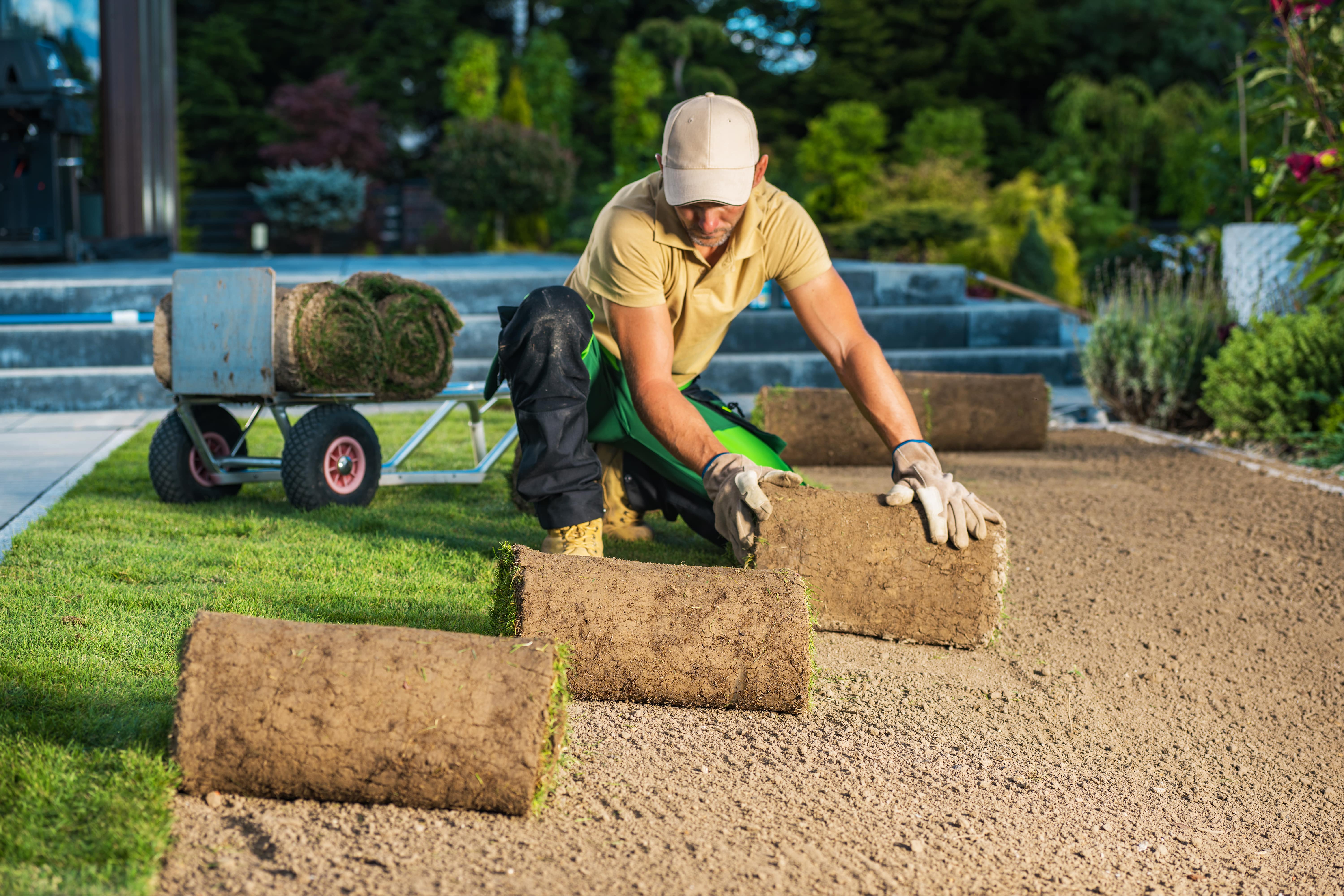 Residential Backyard Garden Fresh Natural Lawn Laying Installation Performed by Professional Landscaper