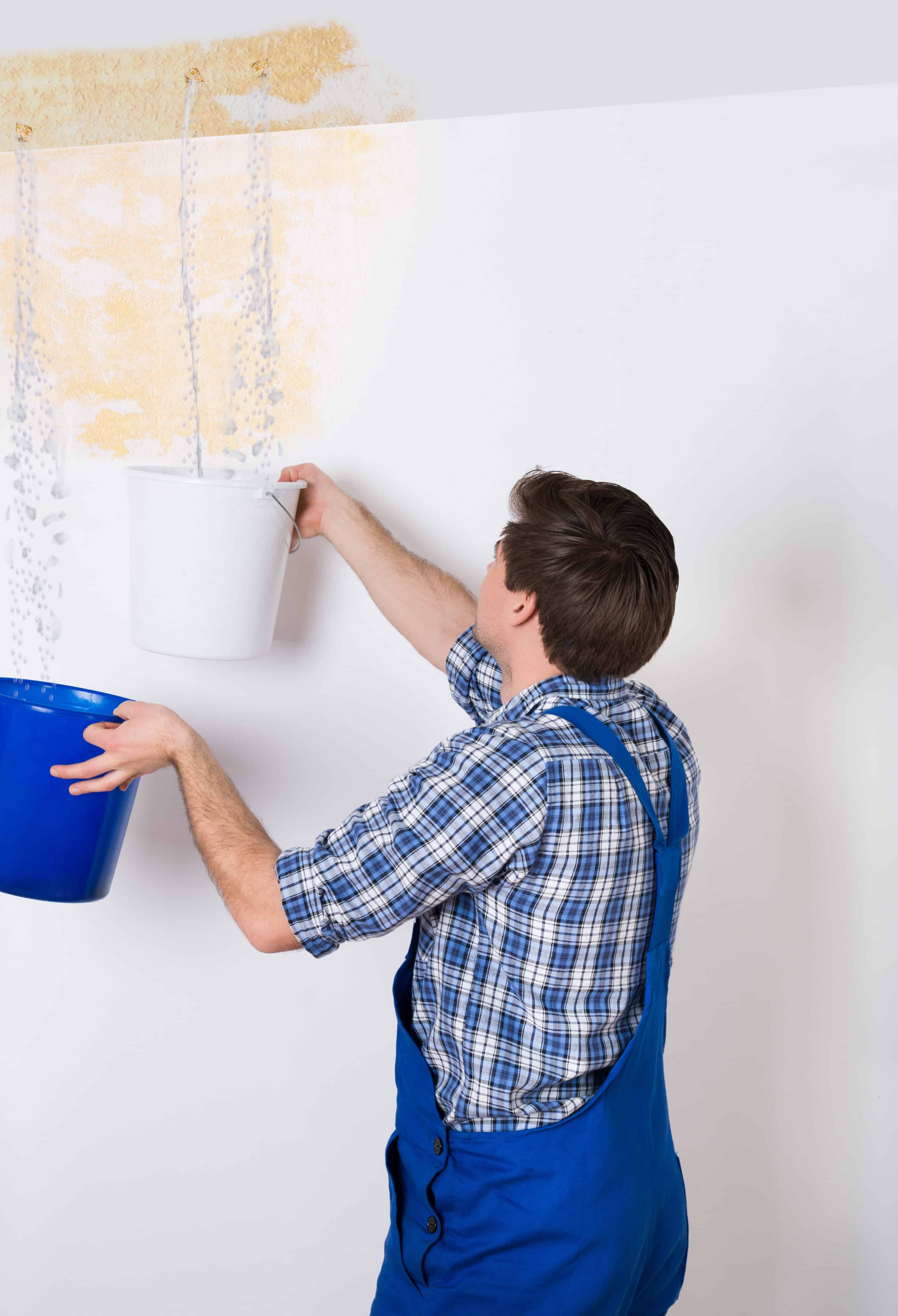 Worker Collecting Water In Bucket From Ceiling In House because of a Emergency Flood Services