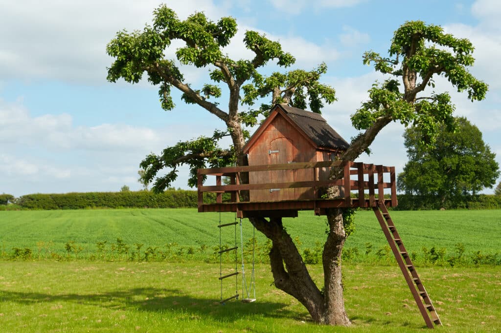 Treehouse