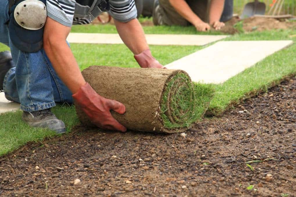 Turf Supply and Install