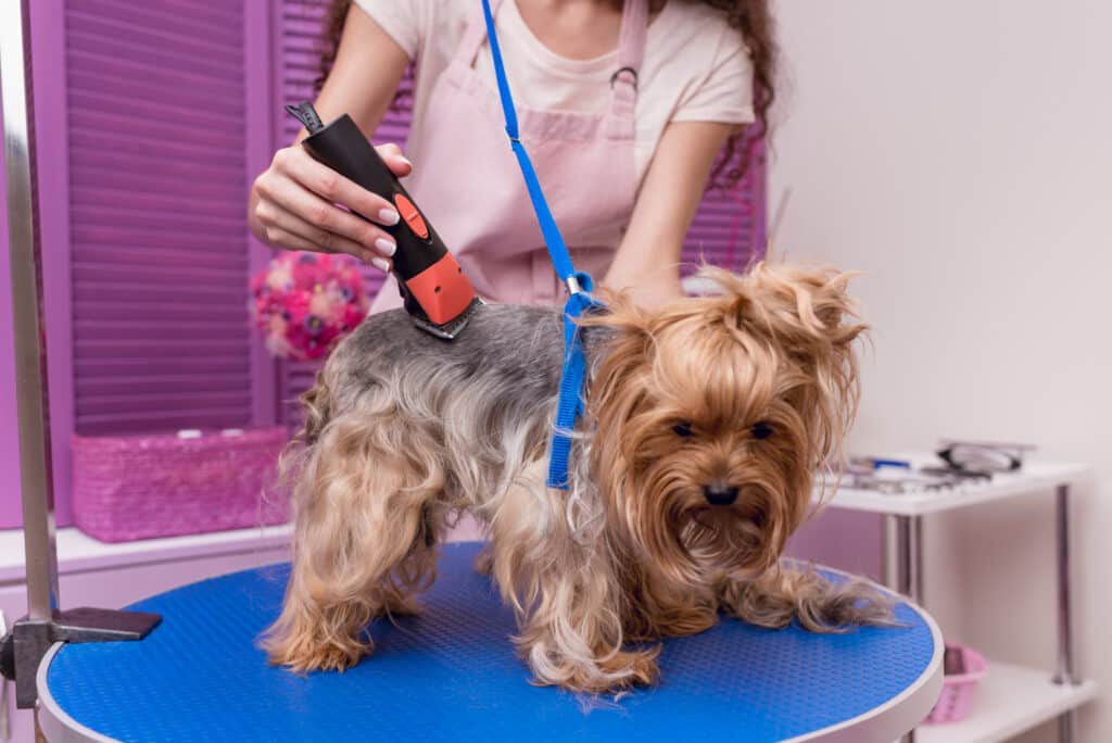 Mobile pet groomer