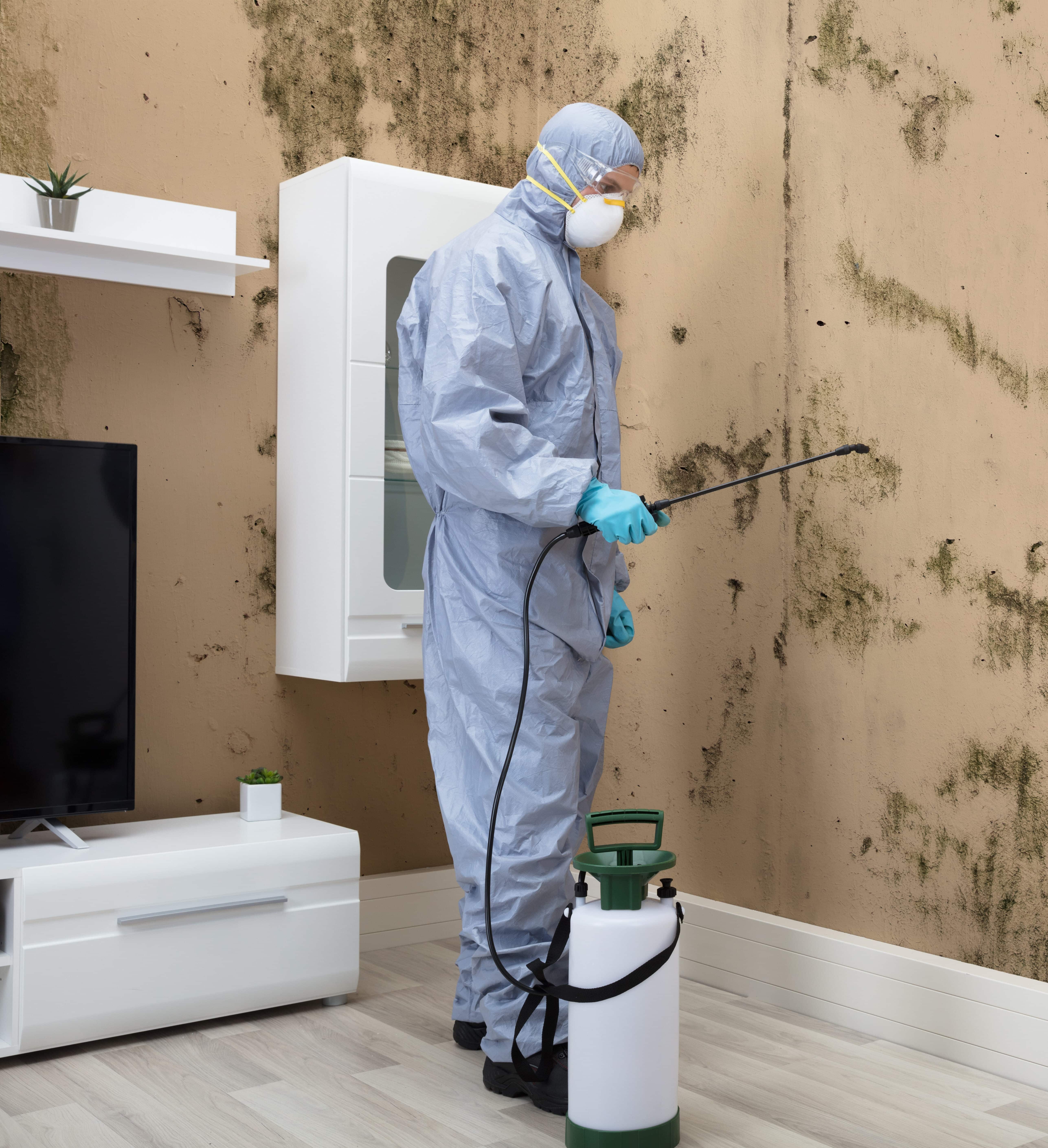 Mould Control Worker In Uniform Spraying Pesticide On Damaged Wall With Sprayer